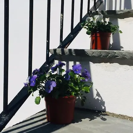 Large Family Apartment, Walking Distance To Beach With Private Garden & Parking Bournemouth Exterior photo
