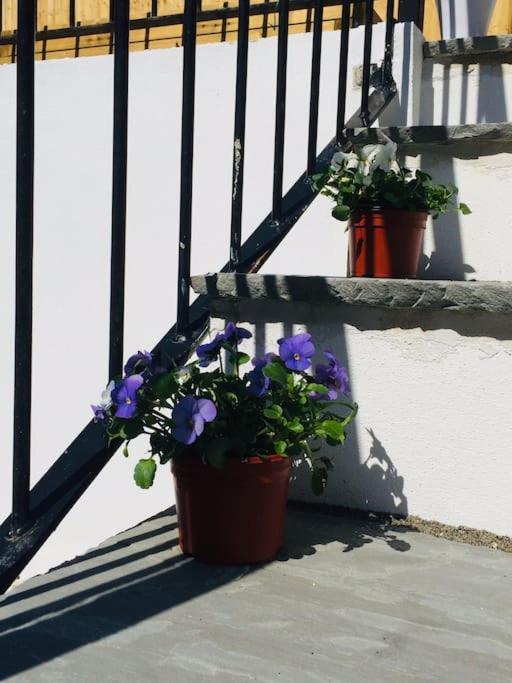 Apartment Large Family Apartment, Walking Distance To With Private Garden & Parking